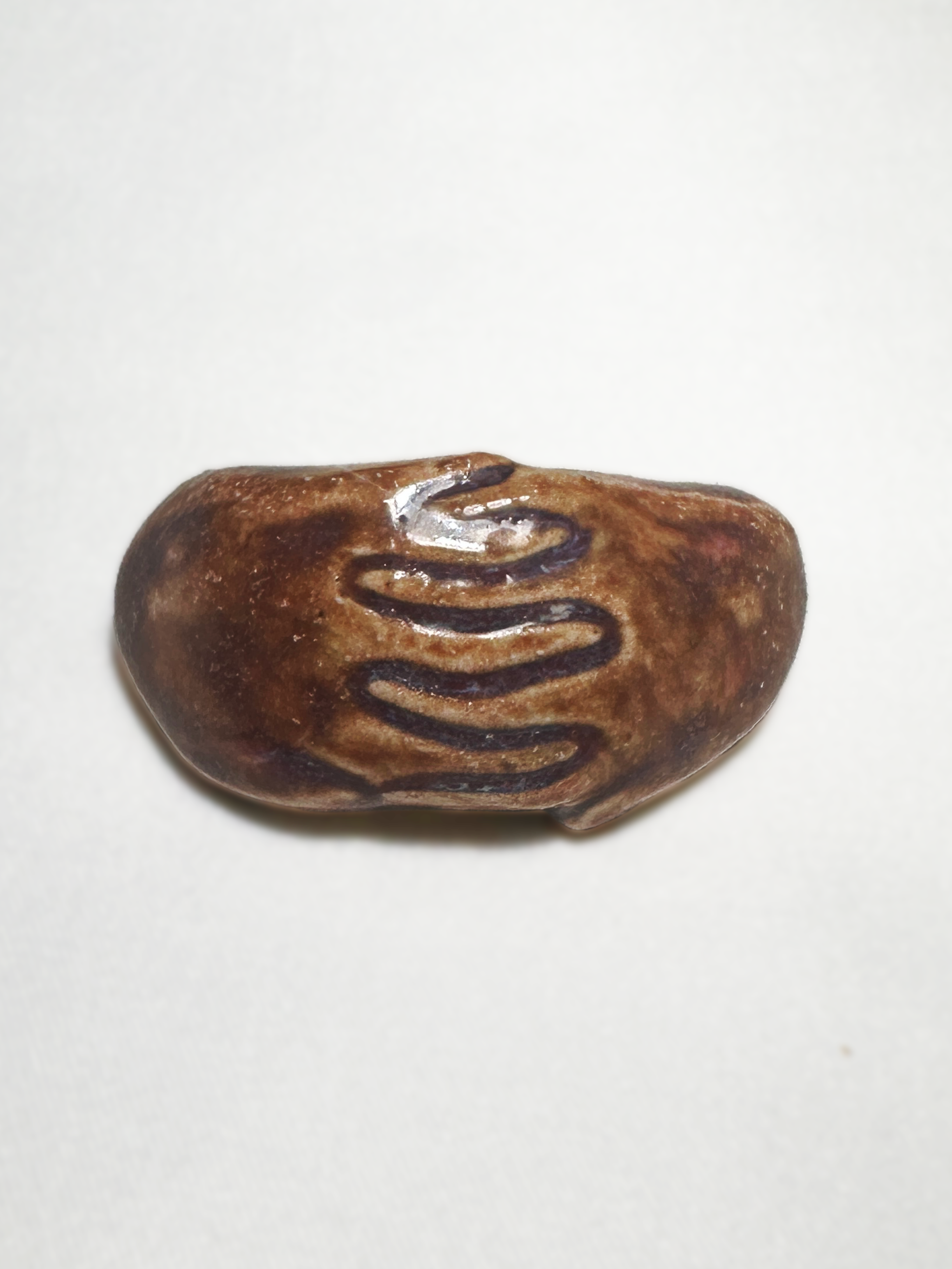 HoldOn Brooch