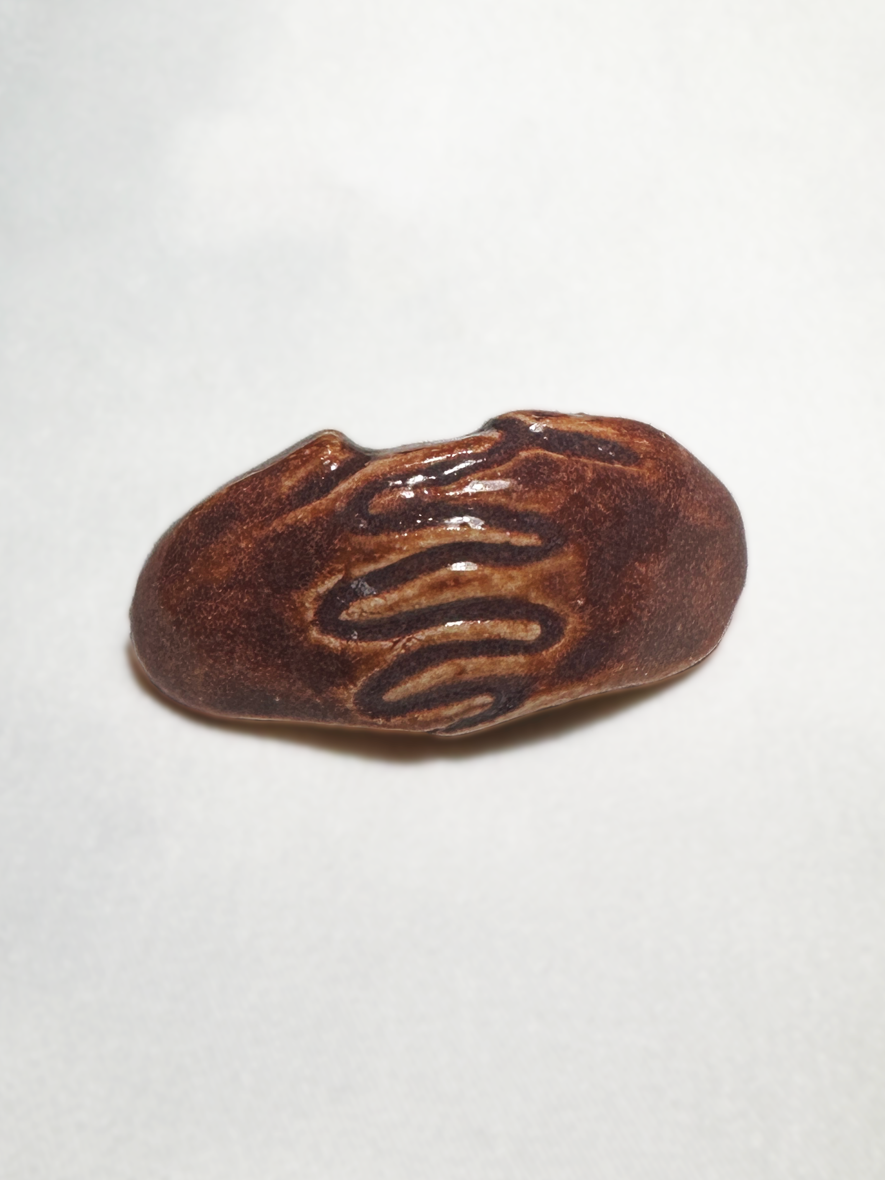 HoldOn Brooch