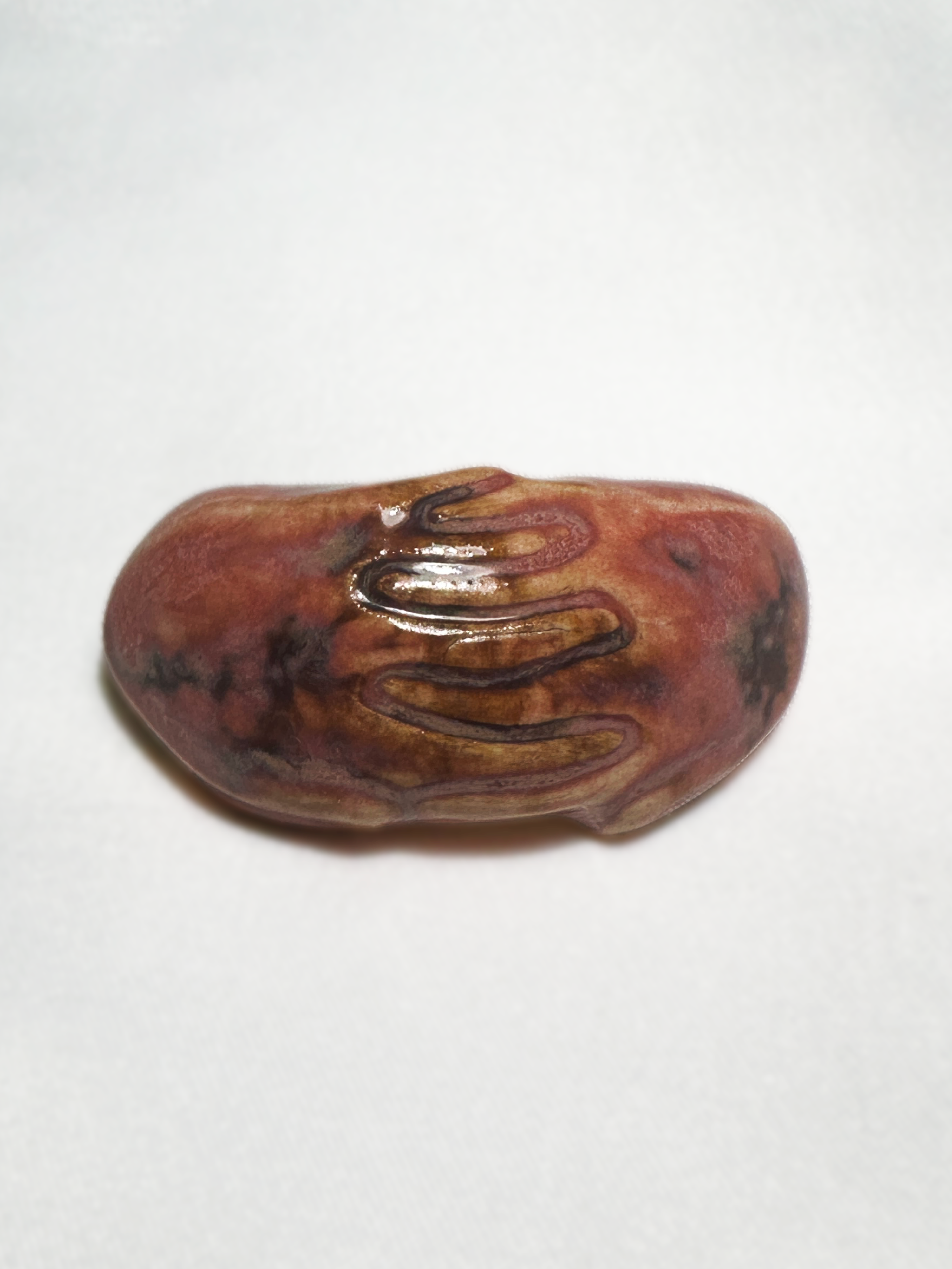HoldOn Brooch
