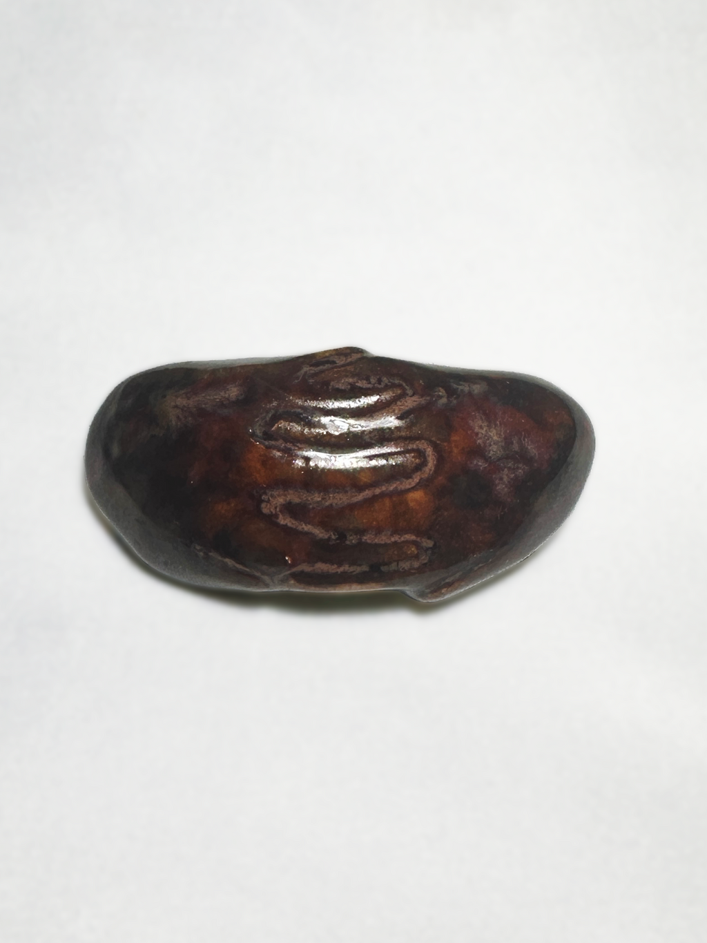 HoldOn Brooch