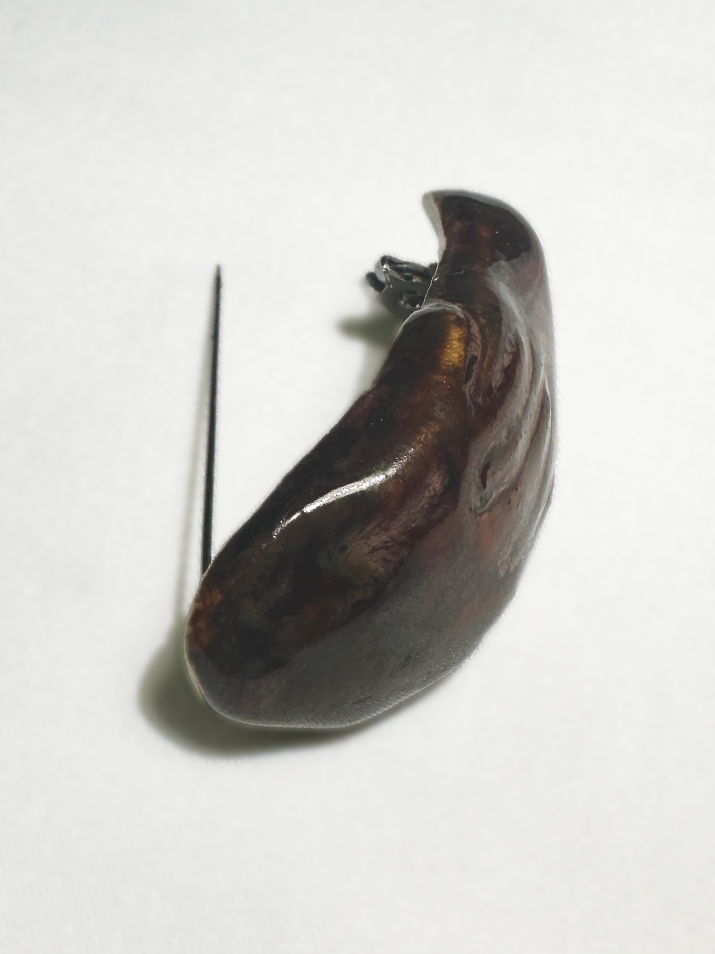 HoldOn Brooch